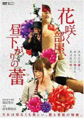 深海回声剧情长片封面